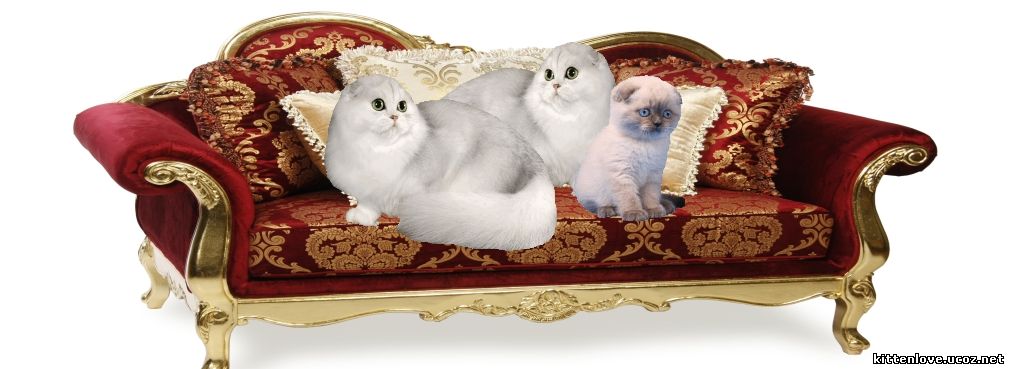 диванчик маленький для котят фотосессии, диван для кукол